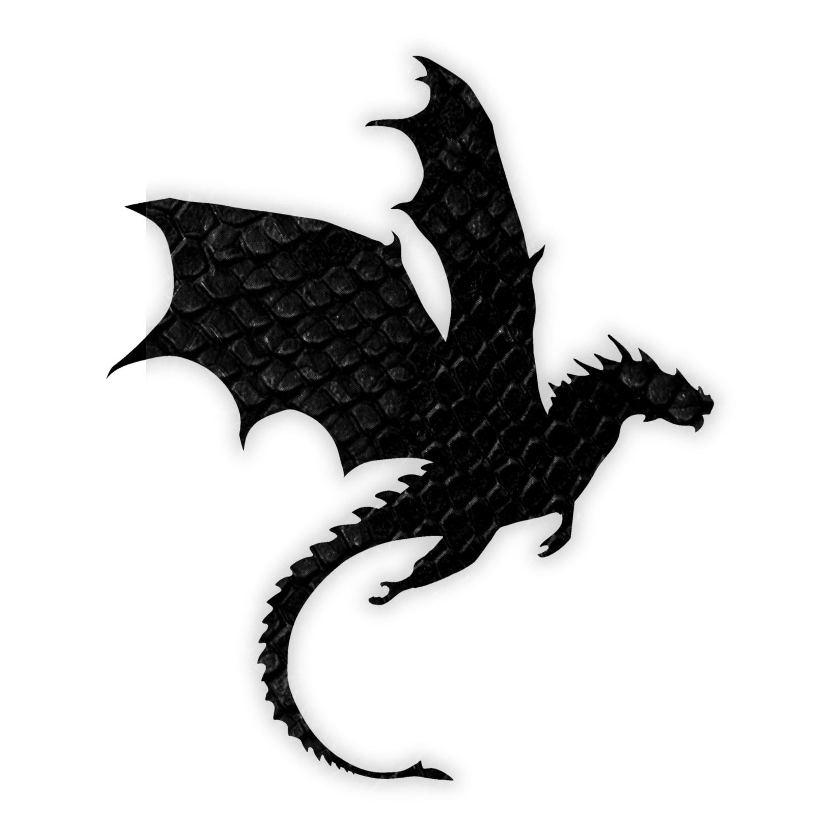 JOIN THE FLYGIRLS - REBECCA YARROS' FACEBOOK GROUP